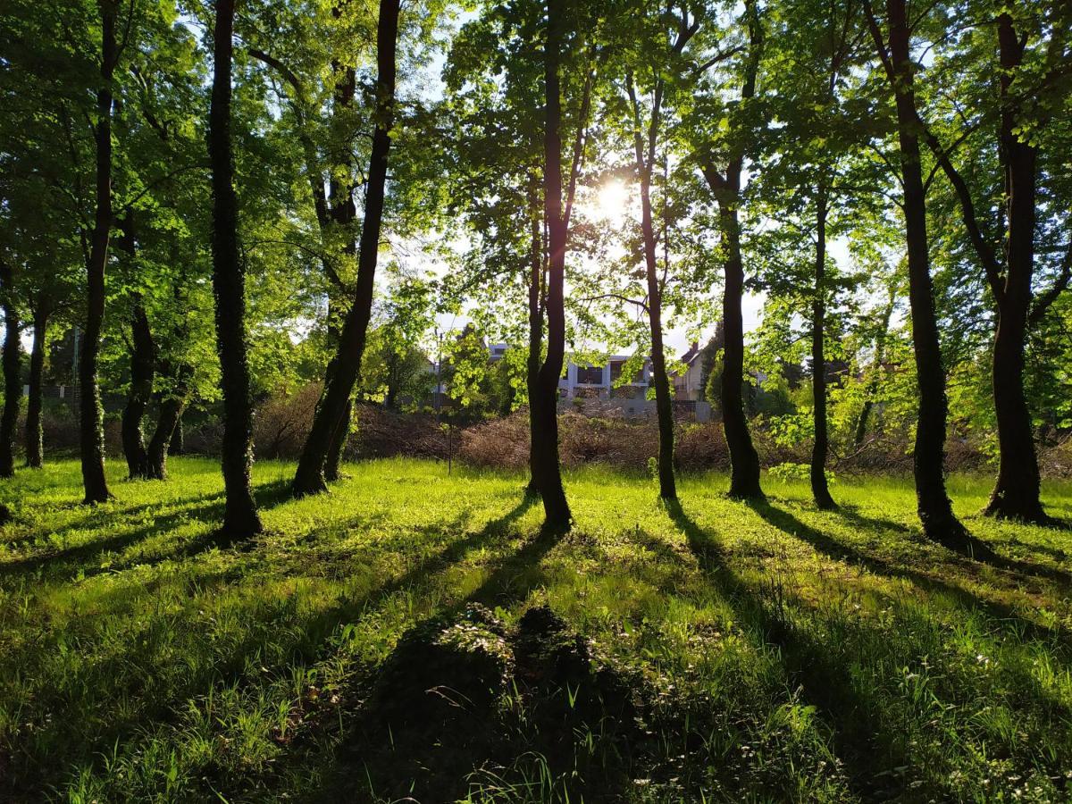 Sirály apartman Keszthely Kültér fotó